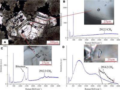 The Fluid Evolution of Ancient Carbonate Reservoirs in Sichuan Basin and Its Implication for Shale Gas Exploration